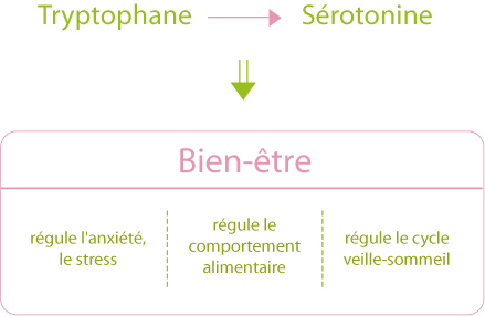 Tryptophane